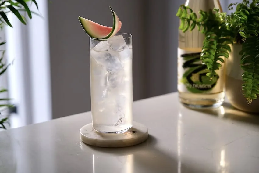 ALL THINGS DRINKS - Real Kombucha Dry Dragon Chinese Water Dragon