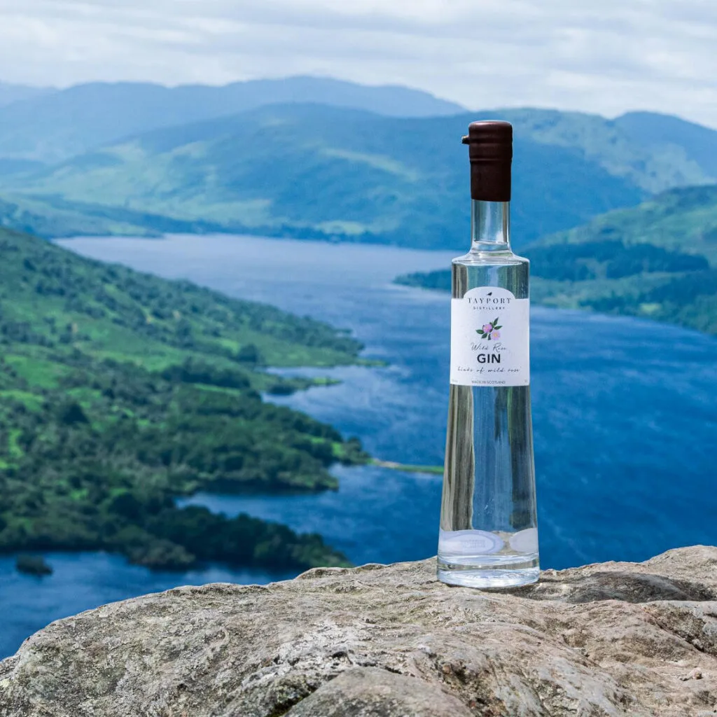 ALL THINGS DRINKS - Tayport Wild Rose Gin - Scottish Gin