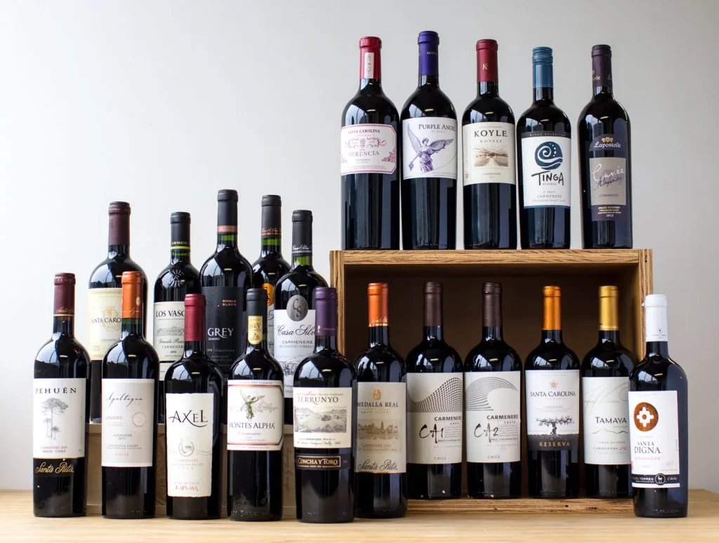 ALL THINGS DRINKS - Carmenere Image from Wine Folly